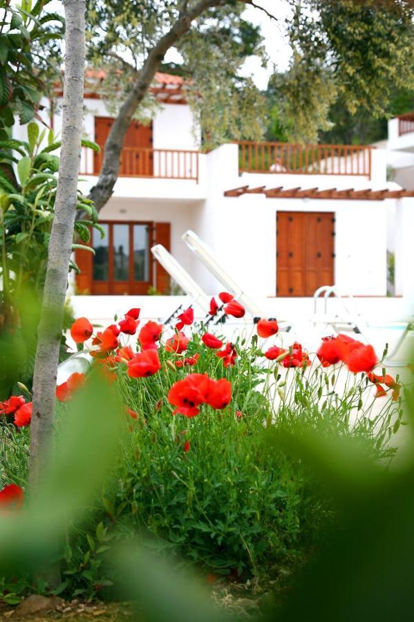 Skopelos Summer Homes Ngoại thất bức ảnh
