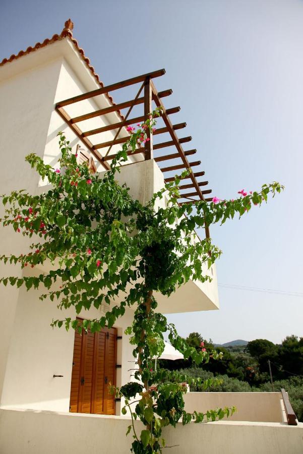 Skopelos Summer Homes Ngoại thất bức ảnh
